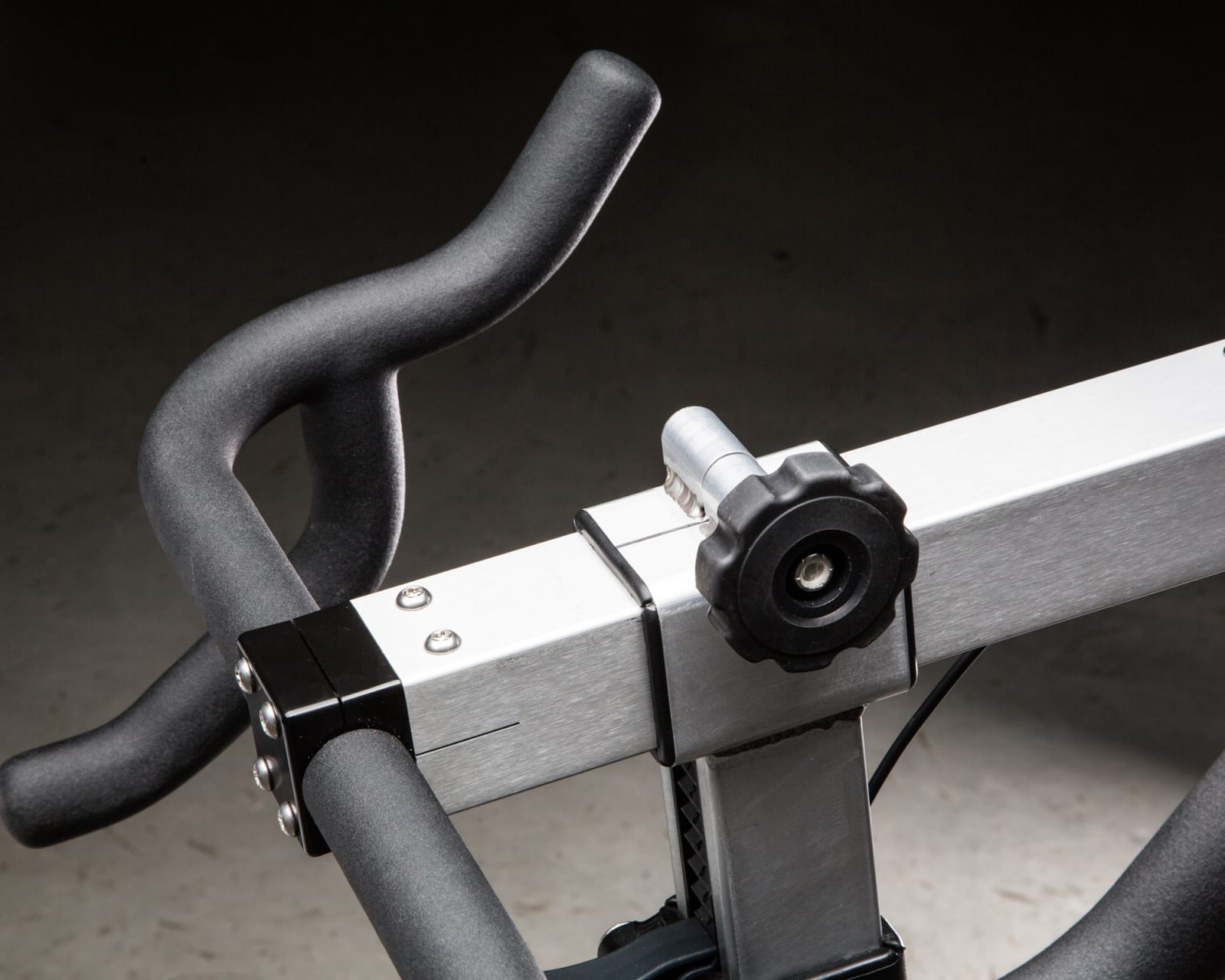 Concept 2 BikeErg Rogue Fitness